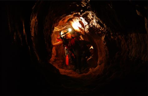 The Descent Movie, Descent Movie, Exquisite Corpse, The Descent, Light Flare, Movie Shots, Animal Bones, Independent Films, Matte Painting