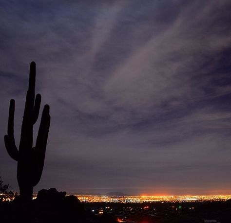 Clear Phoenix Nights Phoenix Aesthetic, Phoenix Nights, Night Life Aesthetic, Arizona Travel, Life Aesthetic, Beautiful Forest, Places Of Interest, Night Time, Night Life