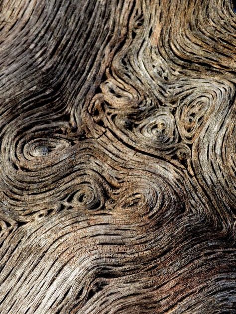 Wood veneer texture