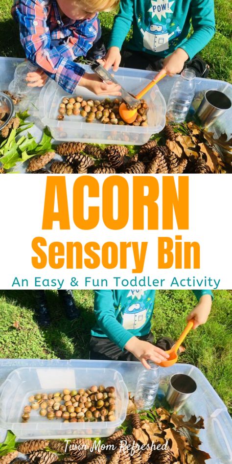 Fall Sensory Bin, Fall Activities For Toddlers, Fall Sensory, Sensory Play Toddlers, Toddler Sensory Bins, Outdoor Activities For Toddlers, Easy Toddler Crafts, Toddler Outdoor, Activity For Toddlers