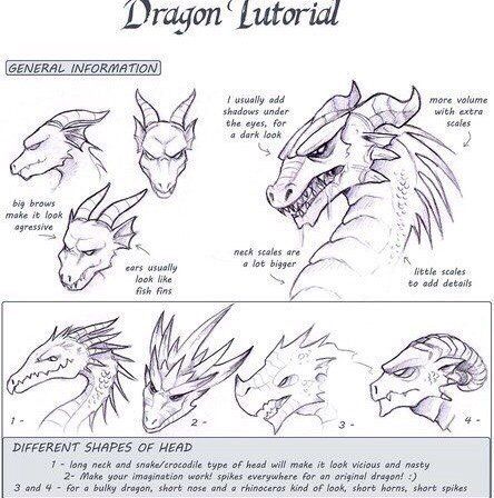 Chinese Dragon Reference, Draw A Dragon, Dragon Anatomy, Dragon Base, Dragon Sketch, Creature Drawings, Dragon Artwork, Dragon Drawing, Lilo Stitch