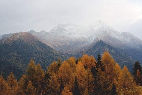 [#HD Wallpaper] #Netsky #Hiking #Photograph Here With You, #Lyrics Larch, Song, Never Let Me Go (feat. Emma Carn)  - Photo by Eberhard Grossgasteiger @eberhardgross (unsplash)  - Follow #extremegentleman for more pics like this! Desktop Photography, Laptop Backgrounds, Image Nature, Mountain Wallpaper, Composition Photography, Macbook Wallpaper, Sunset Photos, Fall Wallpaper, Aerial Photography