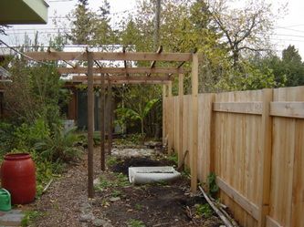 Hedge to Food Forest - Suburban Permaculture Suburban Food Forest, Suburban Permaculture, Hardy Kiwi, Forest Project, Laurel Hedge, Oregon Grape, Small Shrubs, Building A Fence, Edible Landscaping