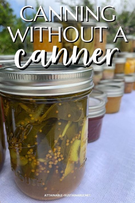 Just getting started with canning? You can use kitchen tools you likely already have on hand. No need for a special water bath canner! How To Use A Water Bath Canner, Canning For Beginners Water Bath, How To Can Without A Water Bath, Ball Water Bath Canning Recipes, Canning Using The Oven, Canning For Survival, Canning For Dummies, Hot Water Canning Bath, Water Bathing Canning