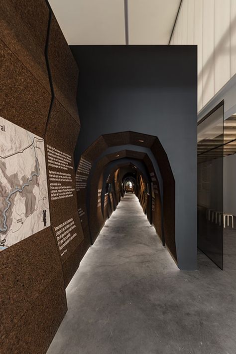 Geology Museum, Wall Design Ideas, Museum Display, Museum Interior, Museum Exhibition Design, Art Gallery Interior, Museum Displays, Exhibition Display, Showroom Design