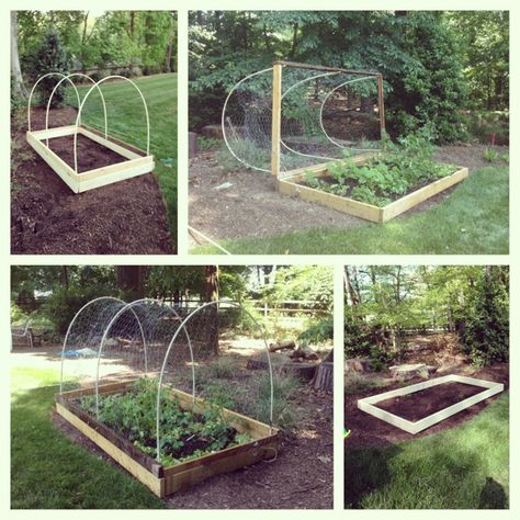 DIY deer-proof veggie garden - idea for beds outside of fence...can still be used in waffle beds with the pvc tubing in ground as a base for the top Deer Proof Garden, Deer Resistant Garden, Deer Proof, Vegetable Garden Raised Beds, Backyard Garden Layout, Backyard Garden Landscape, Garden Plots, Survival Gardening, Small Backyard Gardens