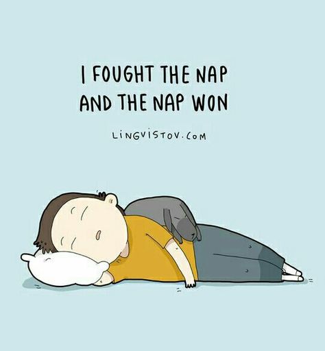 Nap Time Quotes, Nap Meme, Nap Quotes Funny, Nap Quotes, Naps Funny, I Need A Nap, Taking A Nap, Funny Doodles, Animal Books