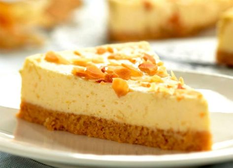 Low Fat Cheesecake, Graham Cracker Cake, Gingerbread Cheesecake, Cheesecake Vegan, Cake Rolls, Classic Cheesecake, Best Cheesecake, Ice Cream Toppings, Mini Cheesecakes