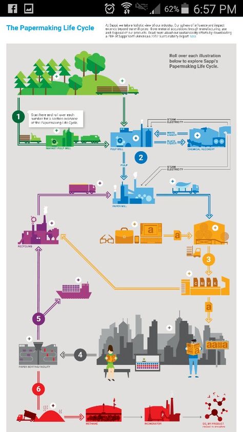 Sappi paper has the coolest infographics on the paper life cycle.  http://www.na.sappi.com/eQ/stories/lca-online.html Cycle Infographic, Infographic Inspiration, Pop Ups, Circular Economy, Life Cycle, Life Cycles, Sustainable Design, Infographic Design, Graphic Design Art