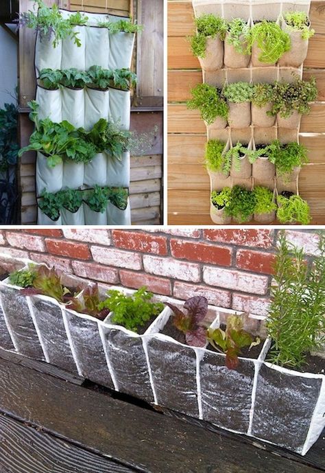 24 Creative Garden Container Ideas | Use hanging shoe racks to grow a vertical garden. Growing In Pots, Kebun Herbal, Upcycled Planter, Taman Diy, Garden Container, Container Ideas, Backyard Vegetable Gardens, Vertical Gardens, Shoe Racks