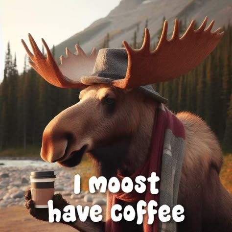 Good Morning Coffee Funny, Coffee Thoughts, Moose Pictures, Morning With Coffee, Morning Ideas, Good Morning Gifs, Coffee Pics, Go Back To Bed, Magic Beans