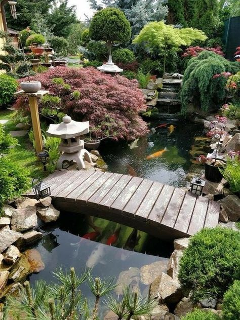 Kolam Koi, Japanese Garden Landscape, Garden Pond Design, Small Pond, Japanese Garden Design, Pond Design, Ponds Backyard, Creative Gardening, Koi Pond