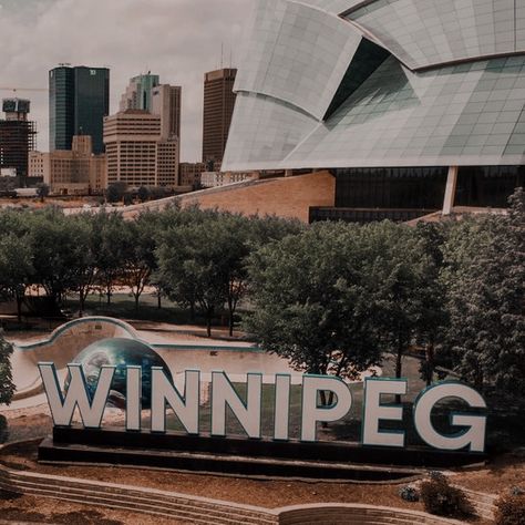 Wall Of Winnipeg And Me Aesthetic, The Wall Of Winnipeg And Me Fanart, Winnipeg Aesthetic, The Wall Of Winnipeg And Me Aesthetic, The Wall Of Winnipeg And Me, Me Aesthetic, Book Board, Sports Romance, Bookish Things