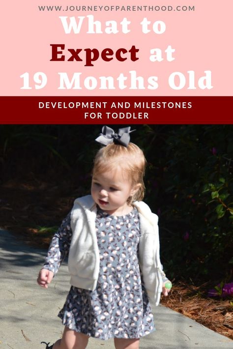 What to expect at 19 months old. Know the milestones and development steps your child should be making at this age and stage. #toddlerdevelopment #toddlermilestones #toddleryears Literacy Quotes, 19 Month Old, Toddler Milestones, Mommy Tips, Toddler Development, Baby Prep, Baby Footprints, Baby Development, Baby Milestones