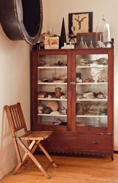 cool Cabinet Of Curiosity, Diy Projektit, Ivy House, Cabinet Of Curiosities, Deco Boheme, Style Deco, Curio Cabinet, Rock Collection, Glass Cabinet