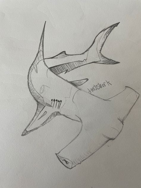 Megladon Shark Drawing, Hammer Head Shark Drawings, Hammerhead Drawing, Whale Drawing Simple, Shark Drawing Sketches, Hammerhead Shark Drawing, Shark Sketch, Dolphin Drawing, Fish Sketch