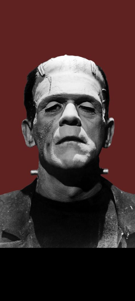 Frankenstein Boris Karloff, Monster Portrait Art, Frankinstine Tattoos, Spooky Reference Photos, Frankenstein Wallpaper Iphone, Frankenstein Concept Art, Frankenstein Moodboard, Universal Monsters Tattoo, Frankenstein Painting