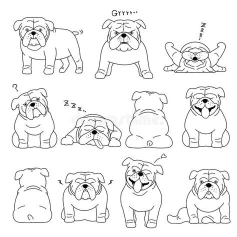 Bulldog Elements Line Drawing Stock Vector - Illustration of standing, collection: 105209024 Bulldog Cartoon Illustrations, Easy Bulldog Drawing, Olde English Bulldogge Tattoo, Simple English Bulldog Tattoo, Simple Bulldog Tattoo, Small Bulldog Tattoo, Simple Bulldog Drawing, English Bulldog Tattoo Minimalist, English Bulldog Tattoo Outline