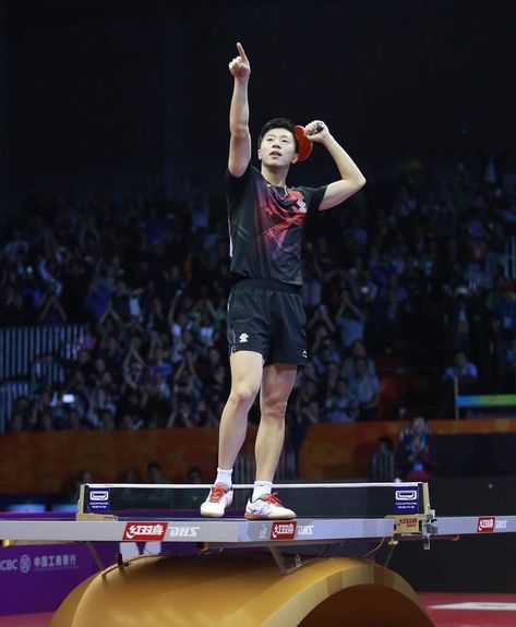 Ma Long Table Tennis, Table Tennis Aesthetic, Tennis Wallpaper, Best Lamborghini, Table Tennis Player, Tennis Posters, Chinese Table, Lion Wallpaper, Long Table