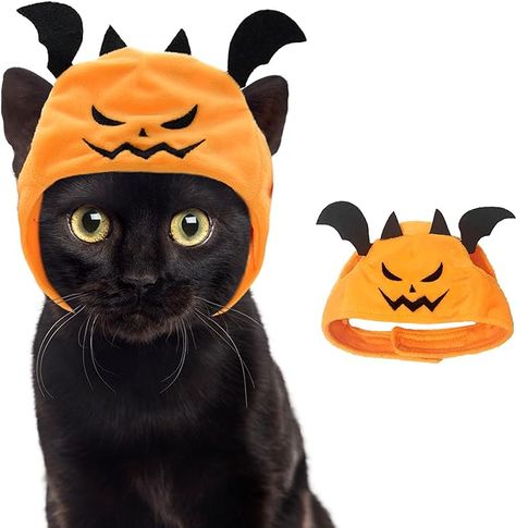 Kitten Costume, Cat Halloween Pumpkin, Kitten Costumes, Halloween Hat, Pumpkin Hat, Halloween Hats, Cat Halloween, Cat Party, Pet Costumes