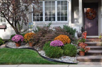 Best Flowers to Plant in North Texas - Top 5 Blooming Flowers Curb Appeal Flower Beds, Low Maintenance Landscape Design, Low Maintenance Landscape, Easy Garden Ideas Landscaping, Front Yards Diy, Texas Landscaping, Fall Landscaping, Front Yards Curb Appeal, Small Front Yard