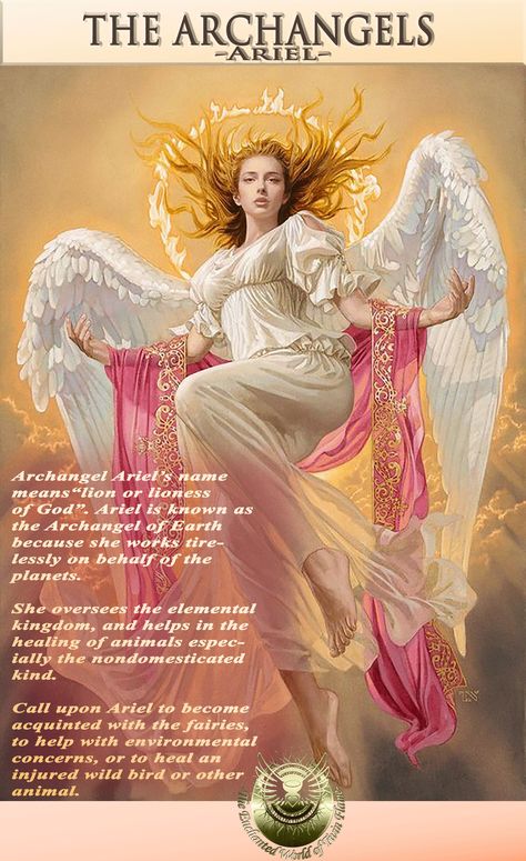 Arch Angels Pictures, Archangels Pictures, Arch Angel Ariel, Archangel Ariel, Warrior Angel, Spiritual Angels, Archangel Prayers, Angel Spirit, Angel Blessings