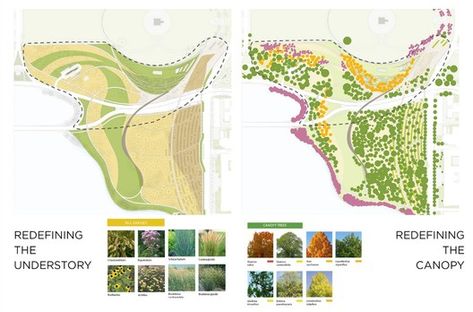 Landscape Architecture Plants, Landscape Diagram, Urban Concept, Landscape Design Drawings, Landscape Architecture Drawing, Design Proposal, Architecture Sketchbook, Project Presentation, Park Landscape