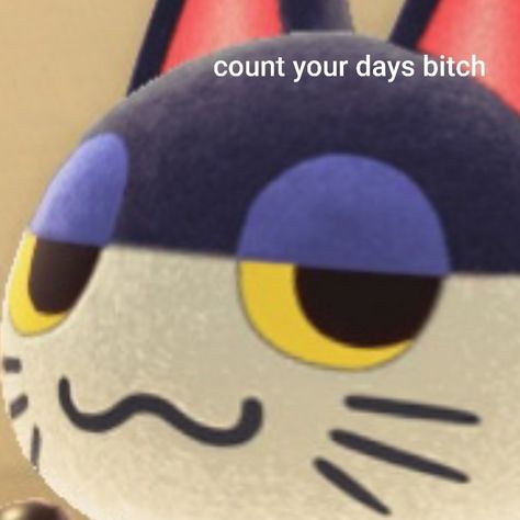 Punchy Animal Crossing Icon, Animal Crossing Reaction Pics, Pfp Animal Crossing, Anhka Animal Crossing, Sherb Animal Crossing, Punchy Animal Crossing, Pfp Animal, Weird Cats, Family Guy Funny