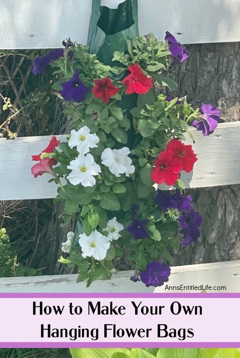 a hanging flower pouch filled with red, white, and purple petunias hanging on a white fence with a tree trunk in the background Hanging Basket Post Ideas, Ramp Ideas, Hanging Baskets Diy, Hanging Basket Hooks, Flower Bags, Petunia Flower, Indoor Plant Wall, Plant Bags, Porch Flowers