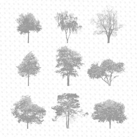 Photoshop Black And White, Tree Render, Landscape Architecture Graphics, Tree Photoshop, Seed Vault, Tree Plan, Gray Tree, Tree Textures, Tree Sketches