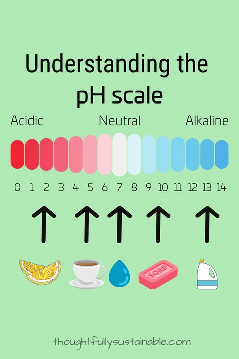 Chemistry Acids And Bases, Biology Terms, Chemistry Molecules, Biology Topics, Cleaning With Vinegar, Ph Scale, Chemistry Between Two People, Acids And Bases, Organic Chemistry Study