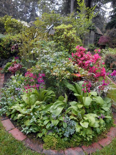 Pnw Garden, Pacific Northwest Garden, Northwest Garden, Vertical Vegetable Gardens, Shady Garden, Northwest Landscaping, Shade Garden Design, Shade Gardening, Shade Garden Plants