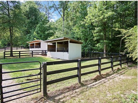 Small Horse Paddock, Small Horse Pasture, Small Horse Property, Paddock Ideas, Small Horse Farm, Small Horse Barns, Horse Pens, Miniature Donkeys, Barn Layout