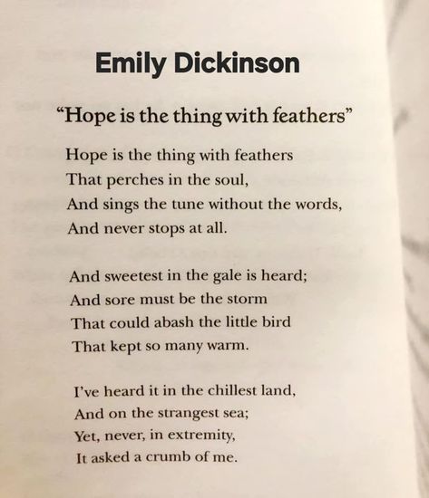 English Literature Dickinson Quotes, Emily Dickinson Quotes, Literature Study, Hope Is The Thing With Feathers, Middle English, Study Quotes, American Literature, Emily Dickinson, English Literature