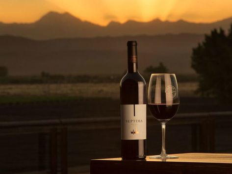 Whether you're drinking for Malbec World Day or just looking for a solid bottle to pair with dinner, these wines won't do you wrong. Beer Calories, Malbec Wine, Wine Preserver, Wine Sale, Cheap Wine, Wine Case, Wine Glass Holder, Buy Wine, Wine Clubs