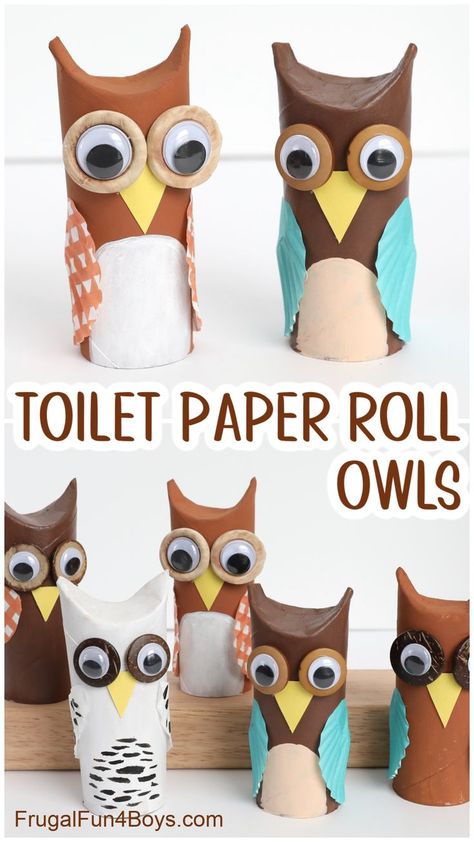 Diy Owl, Owl Craft, Owl Kids, Rolled Paper Art, Toilet Paper Tube, Cute Diy Projects, Toilet Paper Crafts, Paper Owls, Homemade Toys