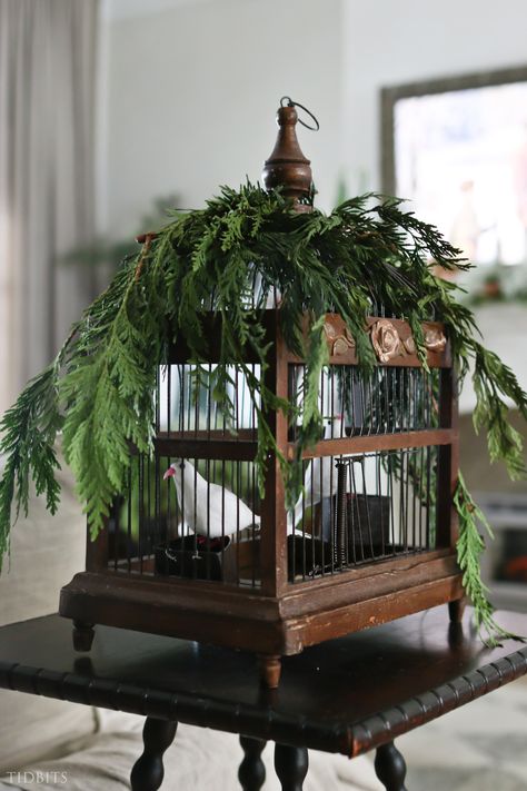 Birdcage Christmas Decor, Christmas Bird Cage Decor, Bird Cage Christmas Decor Ideas, Christmas Birdcage Ideas, Birdcage Decor Ideas, Christmas Bird Cage, Birdcage Decor, Bird Cage Design, Decorating Ideas For Christmas