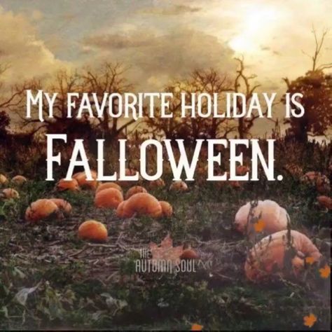 My Favorite Holiday is Falloween. #halloween #autumn #fall #october Hallowen Ideas, Halloween Queen, Autumn Quotes, Halloween Quotes, Theme Halloween, Fabulous Fall, Happy Fall Y'all, Samhain, Happy Fall