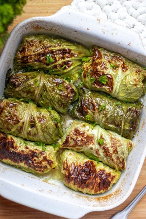 Nightshade Free Cabbage Rolls Recipe | Paleo, AIP, Keto-Friendly Paleo Cabbage Recipes, Raw Cabbage Recipe, Paleo Cabbage Rolls, The Leaky Cauldron, Nightshade Free Recipes, Cabbage Recipes Healthy, Raw Cabbage, Leaky Cauldron, Cabbage Rolls Recipe