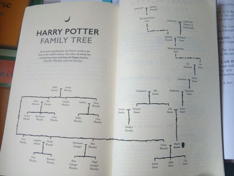 Harry Potter family tree... Dumbledore Family Tree, Potter Family Tree, Harry Potter Family Tree, Bellatrix Lestrange, Harry Potter Marauders, Family Tree, Harry Potter, Lily