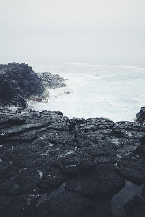 Bone Island, Maine Beach, Moody Vibes, Dark Beach, Water Witch, Dark Summer, World Hair, Moody Aesthetic, Botanical Perfume