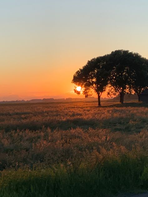 Sunsets Landscapes, Sunset Countryside, Acrylic Landscapes, Countryside Photography, Country Sunset, Perfect Pic, Lana Del Rey Albums, Vision 2025, Country Aesthetic