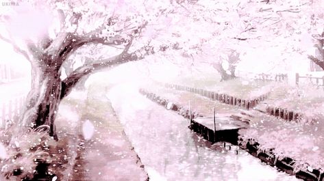 anime gifs (Posts tagged cherry blossoms) Anime Cherry Blossom, 트위터 헤더, Gif Background, Cute Banners, Sakura Tree, Sakura Flower, Banner Gif, Anime Gifs, Sakura Cherry Blossom