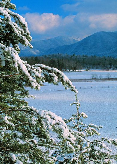 Winter in Cades Cove ~ Great Smokey Mountains, Tennessee Smoky Mountain Christmas, Mountains Tennessee, Mountain Scenes, Tennessee Vacation, Cades Cove, Great Smoky Mountains National Park, Alaska Travel, Smoky Mountain National Park, Smoky Mountain