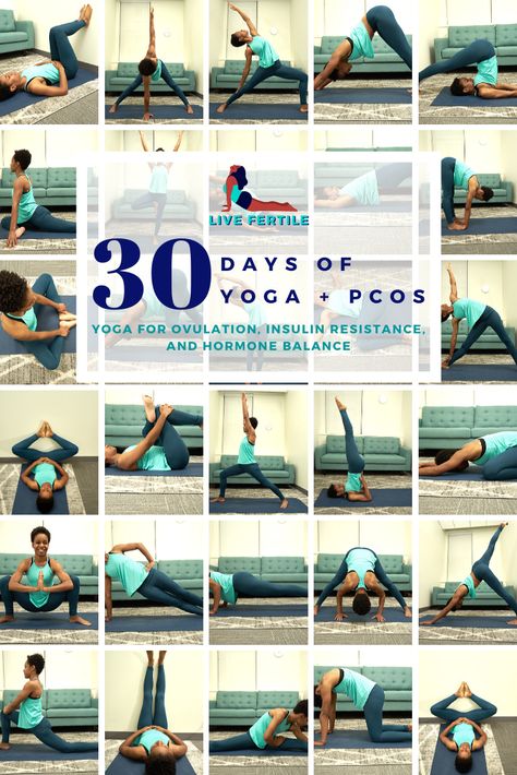 30-Days of PCOS + Yoga: Full Sequence Video — Live Fertile 30 Days Of Yoga, Fertility Yoga, 30 Day Yoga, Month Of November, Pose Yoga, Yoga Poses For Beginners, Yoga Pose, Vinyasa Yoga, Yoga Sequences