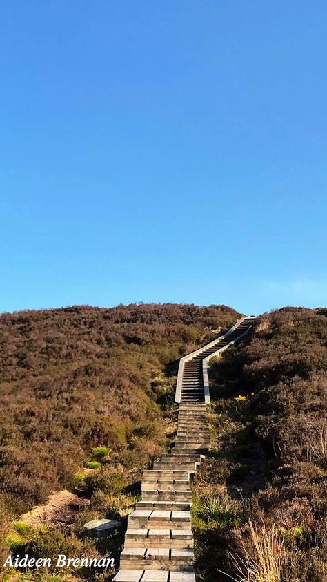 Ridge of Capard walking trail in the Slieve Bloom Mountains. #RidgeOfCapard #SlieveBloom #Offaly #WalkingTrails #Laois #DiscoverIreland #Ireland #Tourism Slieve Bloom Mountains Ireland, Walking Trail, Walking Trails, Tourism, Country Roads, Walking, Holidays, Road, Travel