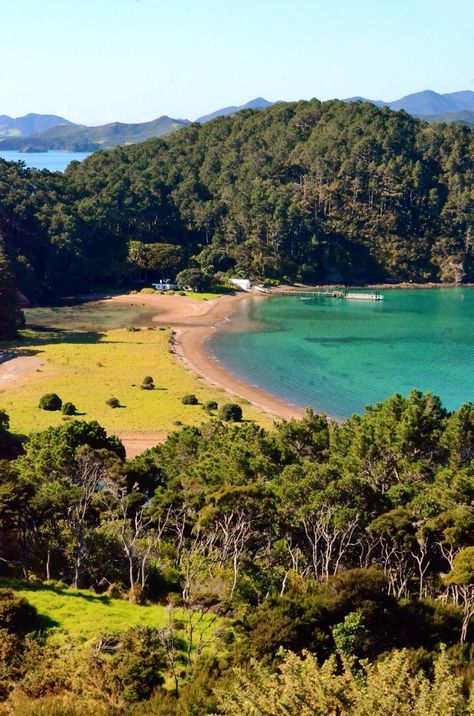 thejelliedfish: ““Motuarohia / Roberton Island” D.Fodie Bay of Islands, Northland, New Zealand ” Living In New Zealand, Bay Of Islands, A Love Story, Your Soul, A Love, Sea Glass, Love Story, New Zealand, Water