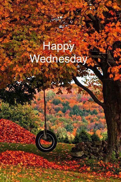 Happy Wednesday! Remember some happy childhood memories today! 🌞 Wednesday Fall, Wednesday Morning Greetings, Happy Wednesday Images, Fall Humor, Good Morning Wednesday, Happy Wednesday Quotes, Happy Childhood, Wednesday Quotes, Morning Quotes Images