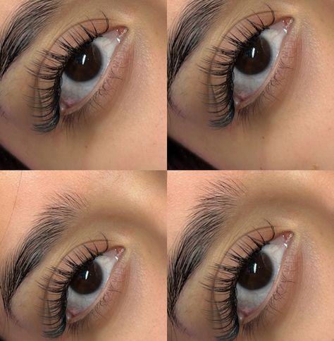 Using classic 10-13mm .15 and spikes 10-14mm .05 Classic Wet Set Lashes, Classic Lashes Extensions, Wet Set Lashes, Wispy Hybrid, Classic Lashes, Lashes Extensions, Wet Set, Lash Extensions, Eyelashes