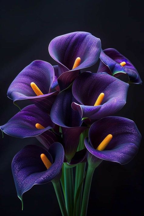 Calla Lily Flowers, Rose Flower Pictures, Gothic Garden, Fruit Picture, Good Morning Flowers Quotes, Flowers Photography Wallpaper, Lily Flowers, Flower Art Images, Beautiful Flowers Wallpapers